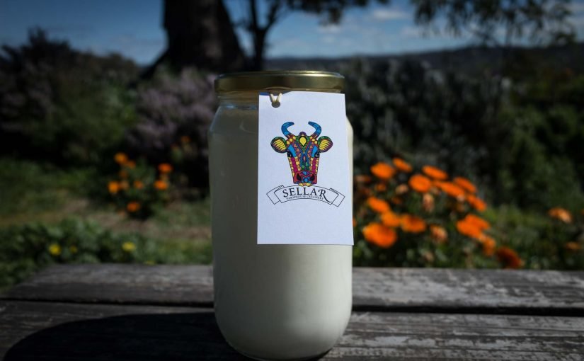 Yoghurt systems go!